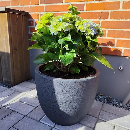 Fischers Hus Gemuetlichkeit